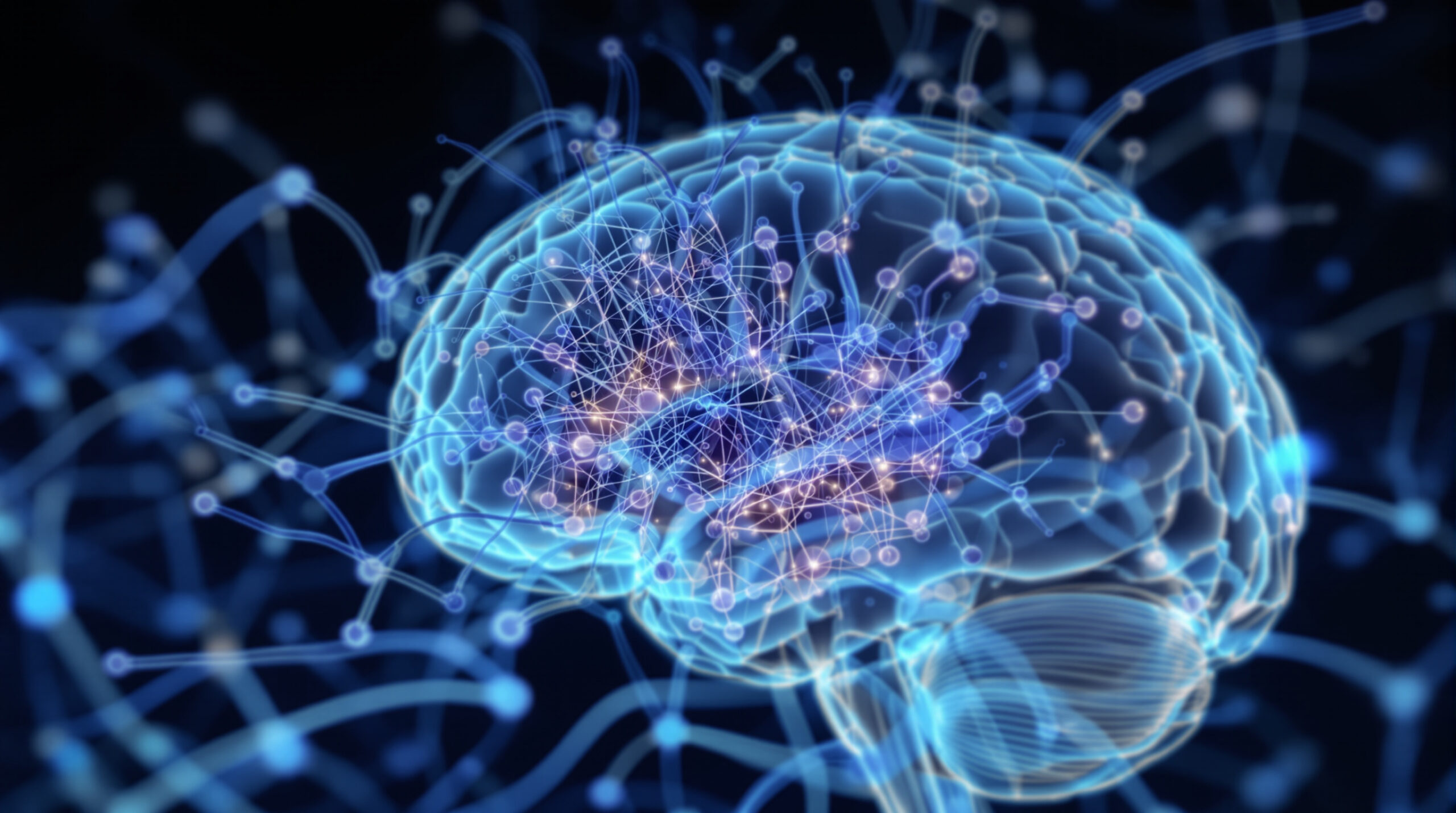 SuperAgers e Neurogenesi: il segreto della memoria nell’ippocampo